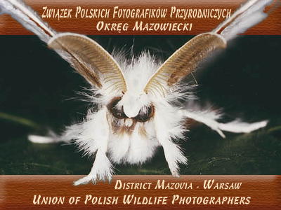 Związek Polskich Fotografików Przyrodniczych (ZPFP) - Okręg Mazowiecki